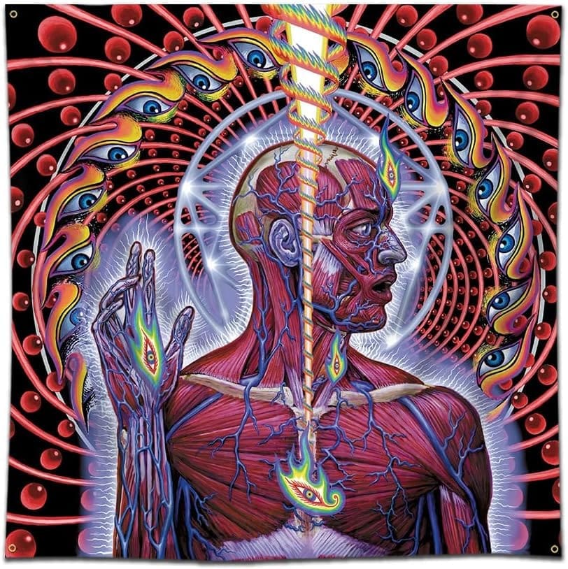 Alex Grey Art: Vision, Psychedelics & Spiritual Transformation